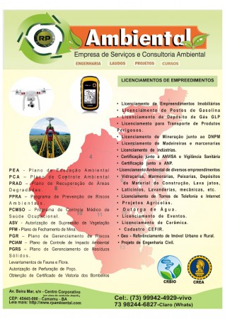 Equipe de consultores 