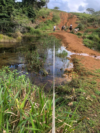 CURSO DE PERÍCIAS E DEFESAS AMBIENTAIS 